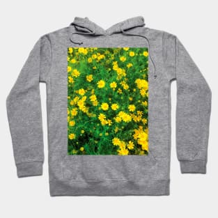 Blooming sulfur cosmos (yellow cosmos) flower bushes Hoodie